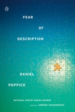 Fear of Description, by Daniel Poppick