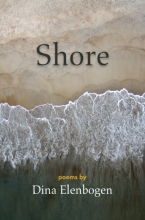 Shore, by Dina Elenbogen