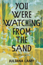 You Were Watching From the Sand, by Juliana Lamy