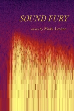 Sound Fury, by Mark Levine