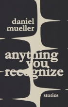 Anything You Recognize, by Daniel Mueller