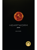 Heartworm, by Adam Scheffler