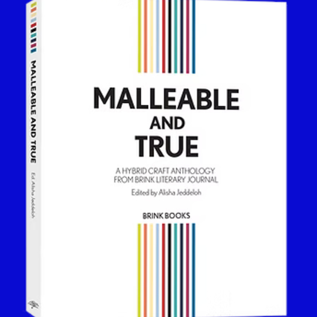 Live from Prairie Lights | Malleable and True: A Hybrid Craft Anthology Reading promotional image